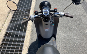 HONDA TODAY AF67
