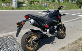 HONDA GROM JC61