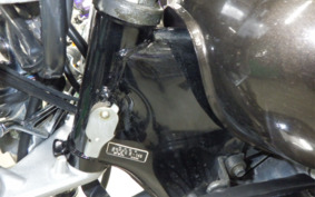 YAMAHA VIRAGO 250 3DM