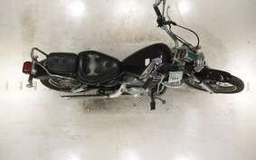 YAMAHA VIRAGO 250 3DM