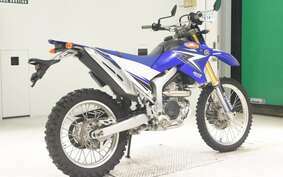 YAMAHA WR250R DG15J