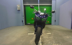 YAMAHA FZ FAZER 2010 RN16