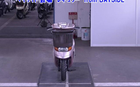 OTHER  DIO CESTA 3