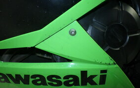 KAWASAKI NINJA 250 ABS EX250L