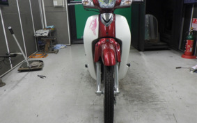 HONDA DREAM 110 JA27