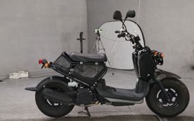 HONDA ZUMAR AF58