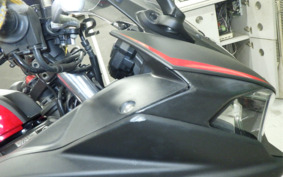 YAMAHA YZF-R25 RG10J