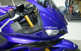 YAMAHA YZF-R25 RG43J