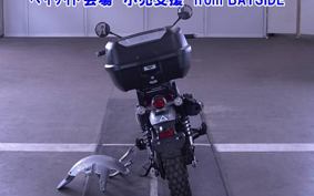 OTHER  DUX 125