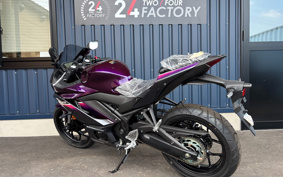YAMAHA YZF-R25 RG74J