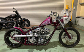 HARLEY Kit Bike 2023 315