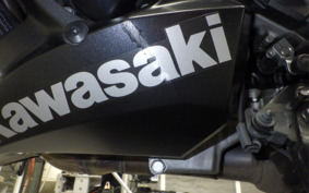 KAWASAKI NINJA 1000 A 2020 ZXT00W