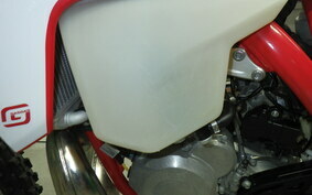 GASGAS EC 250