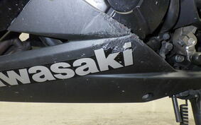 KAWASAKI NINJA 250 EX250L