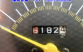 HONDA DIO CHESTER