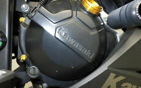 KAWASAKI NINJA 250 EX250L