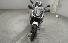 YAMAHA XT660 TENERE Z 2009 DM021