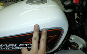 HARLEY X350 2024