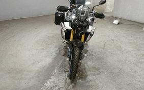 TRIUMPH TIGER 900 RALLY PRO 2022 RE67D8