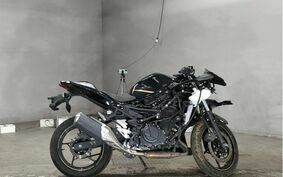 KAWASAKI NINJA 250 2020 EX250P