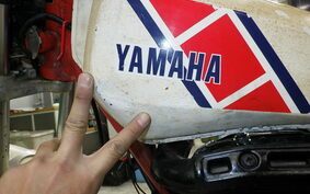 YAMAHA TY250 53Y