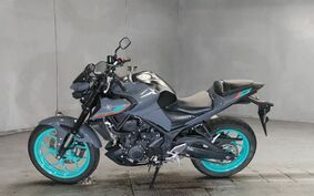 YAMAHA MT-25 RG109