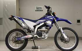 YAMAHA WR250R DG15J