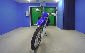 YAMAHA WR250R 2007 DG15J