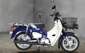 HONDA C110 SUPER CUB PRO JA61