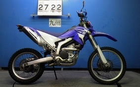 YAMAHA WR250R 2007 DG15J