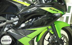 KAWASAKI NINJA150RR KR150P