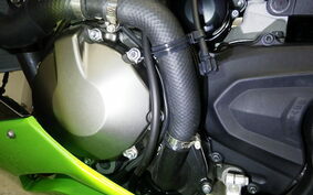 KAWASAKI NINJA ZX-6R A 2020 ZX636G