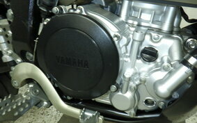 YAMAHA WR250X DG15J