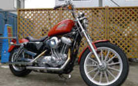 HARLEY XL883L Sportster 2010 CR2