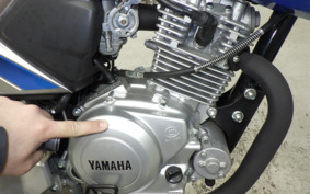 YAMAHA YBR125