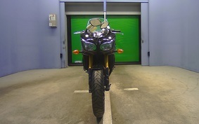 YAMAHA FZ FAZER 2009 RN17