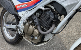 HONDA TLR250R MD18