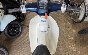 HONDA C90 SUPER CUB Custom HA02