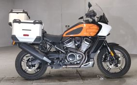 HARLEY  HARLEY RA1250S ZES