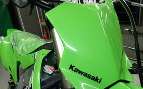 KAWASAKI KX250X KX252D