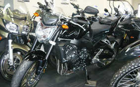 YAMAHA FZ FAZER 2009 RN21J