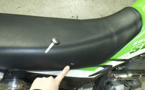 KAWASAKI SUPER SHERPA KL250G