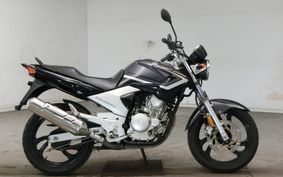 YAMAHA YBR250 PCNL