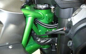 KAWASAKI NINJA H2 2021 ZXT02J