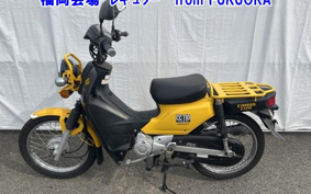 OTHER CC110