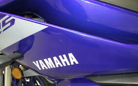 YAMAHA YZF-R25 RG43J