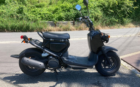 HONDA ZOOMER AF58