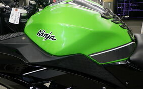 KAWASAKI NINJA 250 EX250L