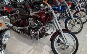 HARLEY  HARLEY FXCWC 2009 JK5