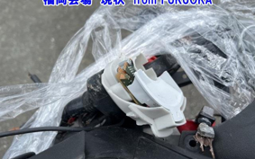 OTHER X-MAX250-2
